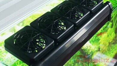 Akvaryum Soğutma - Fanlı Sistem